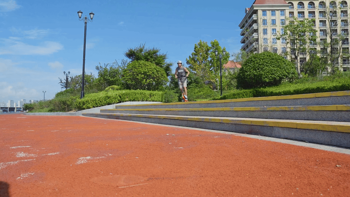 Traveling with an e-scooter and a pet? German safety equipment regulations and advice