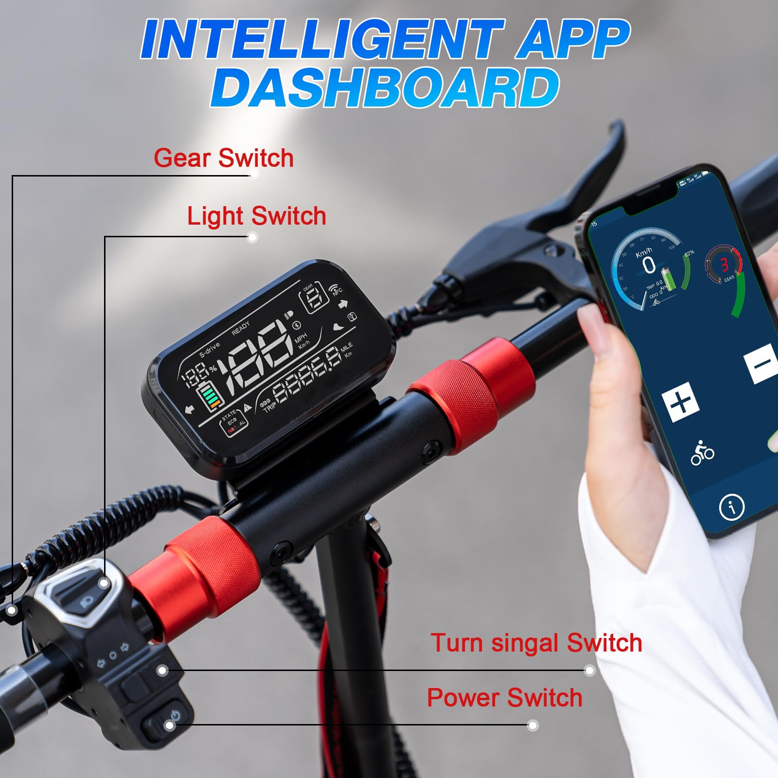 RCB RE24 Fat Tire Elektroroller
