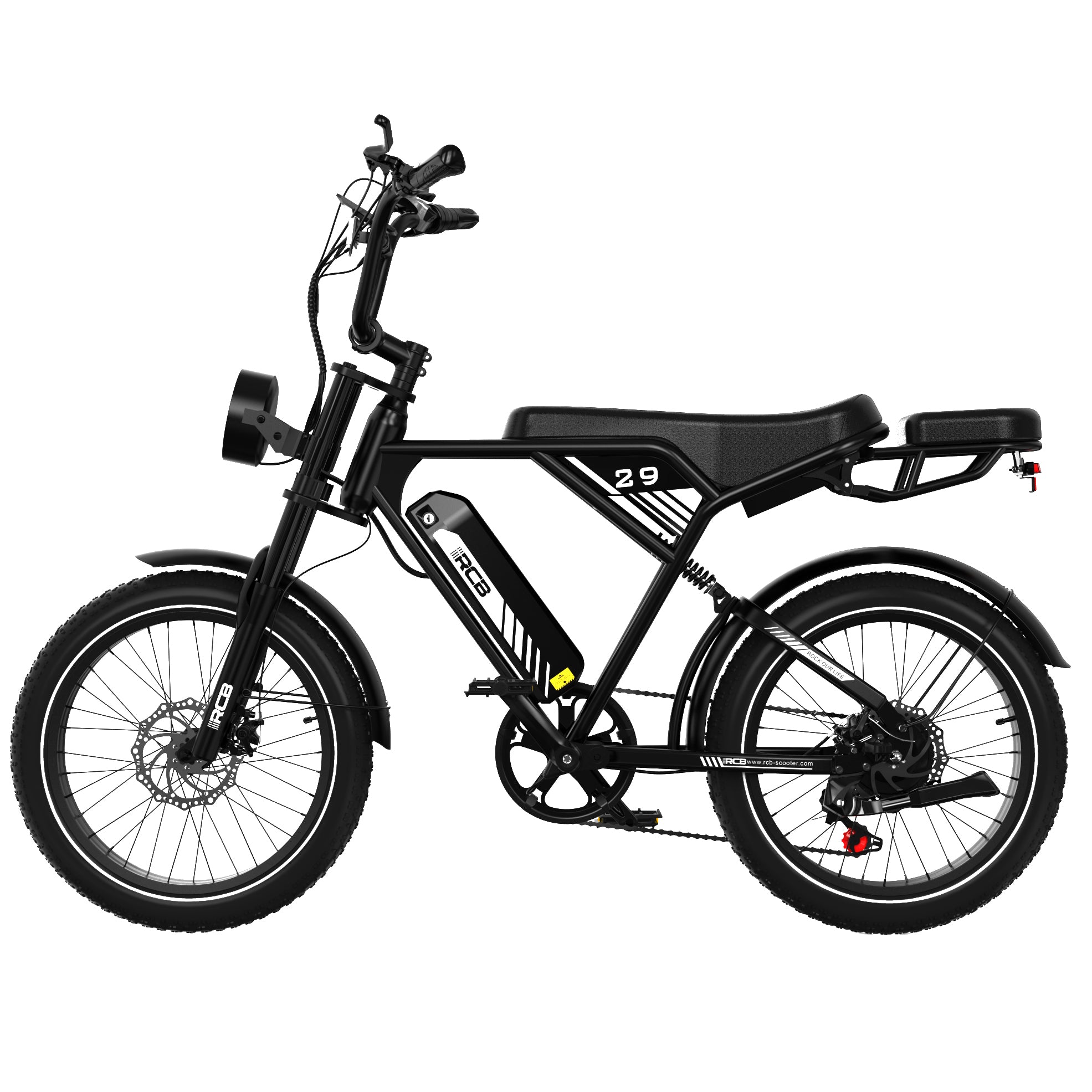 RCB RK29 Elektrofahrrad für Erwachsene (RCB E BIKE)
