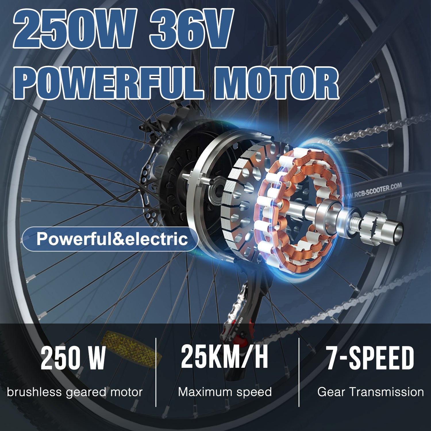 RCB RK8S Elektrofahrrad für Erwachsene (RCB E BIKE)