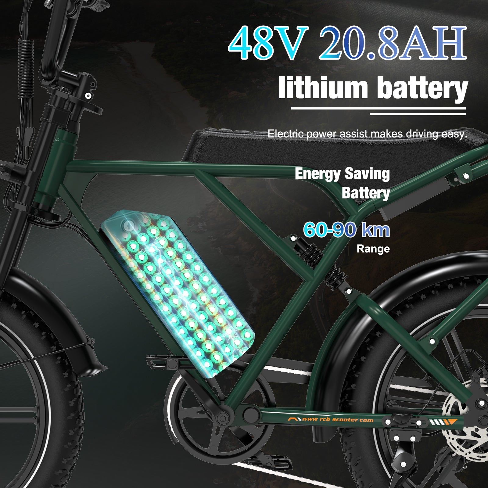 RCB G19 Electric Bike for Adults(RCB E BIKE)