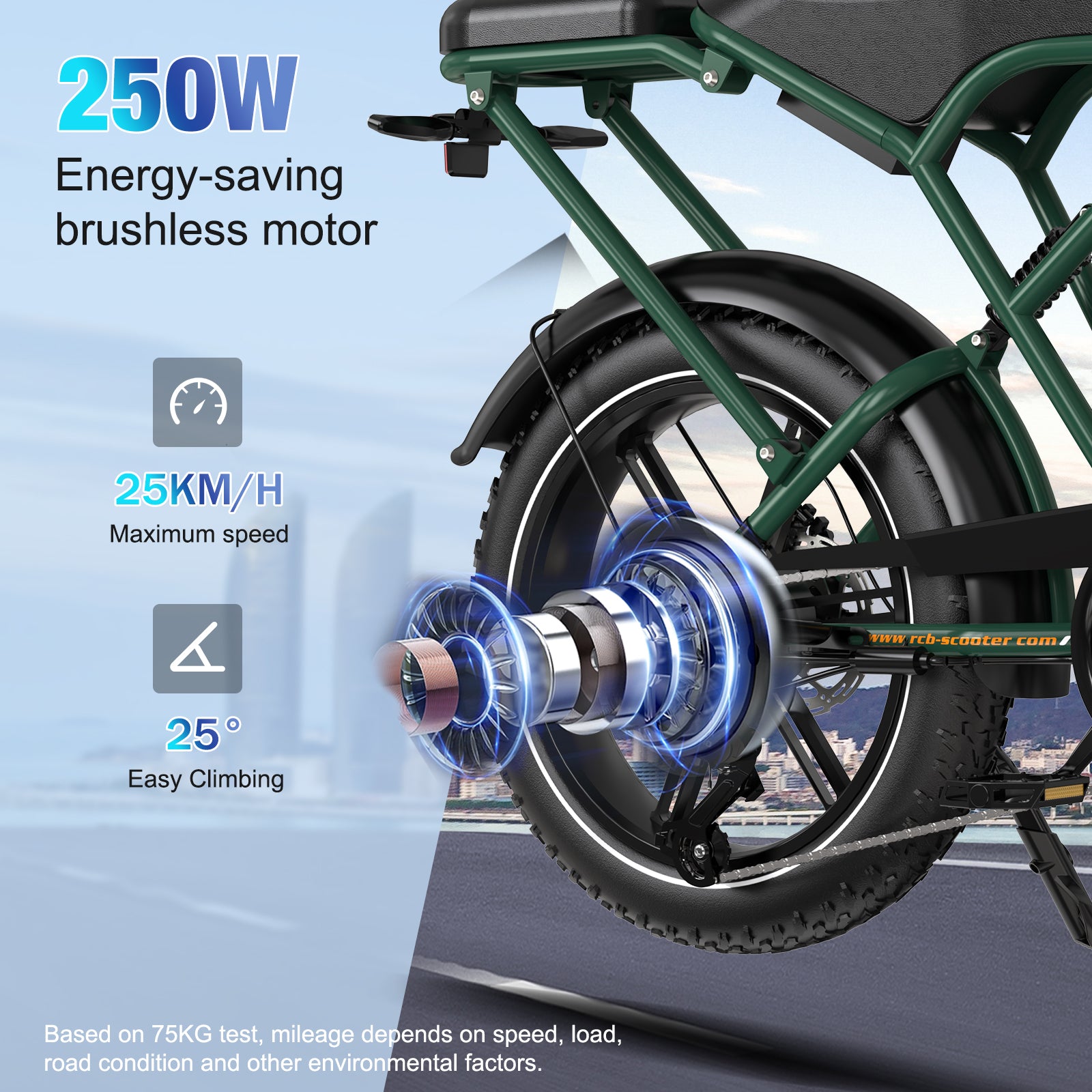 RCB G19 Electric Bike for Adults(RCB E BIKE)