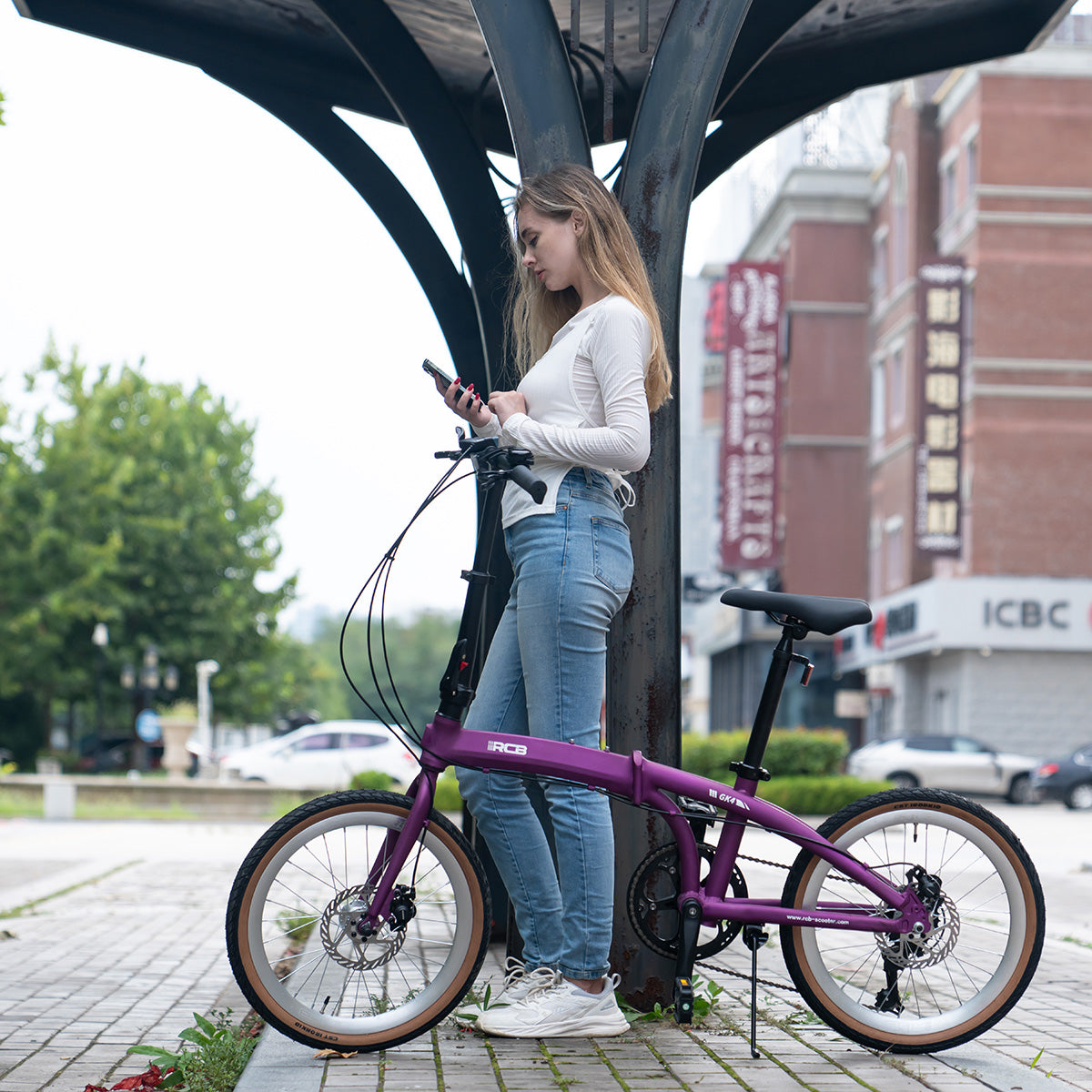 Bicicleta urbana portátil plegable RCB GK4 (no eléctrica)