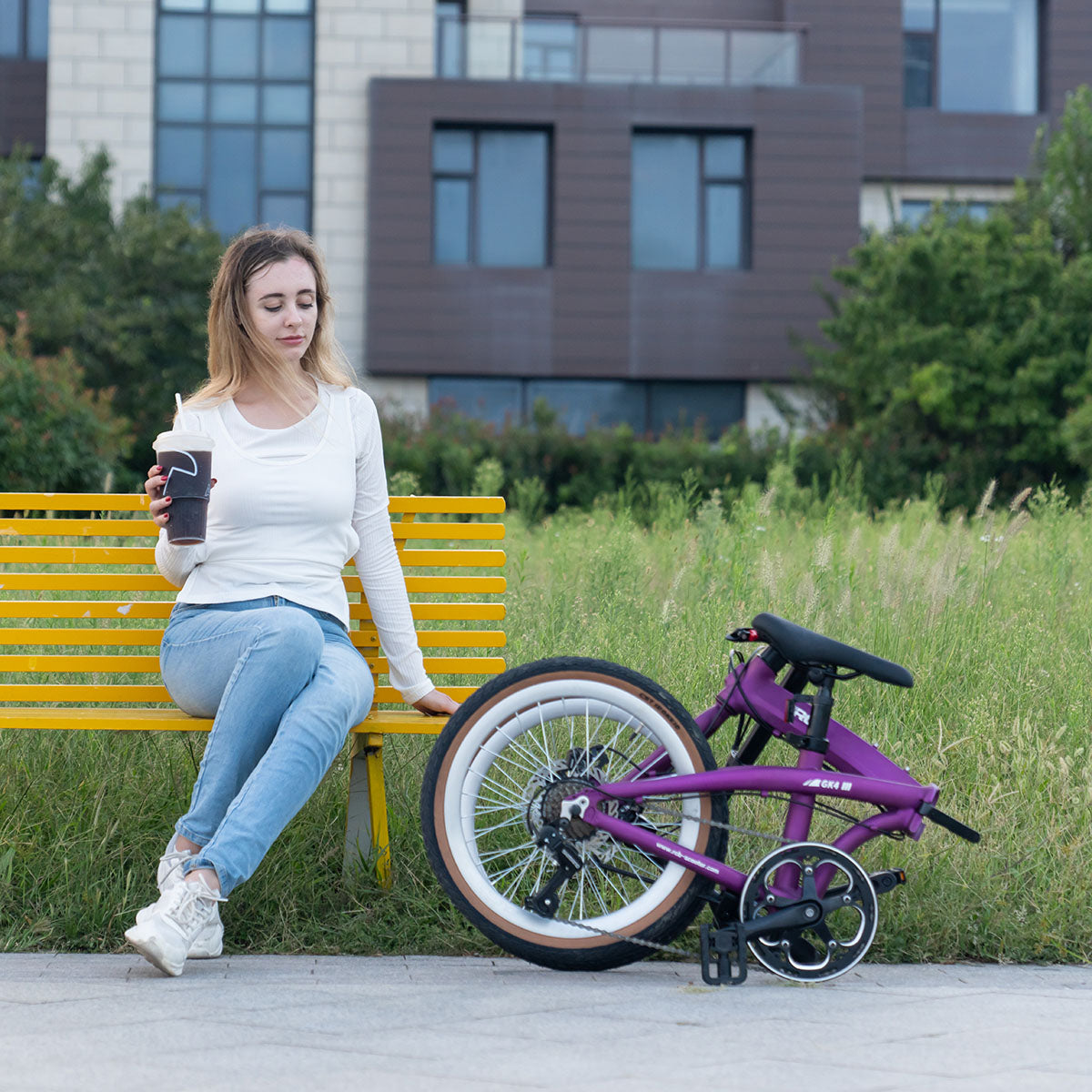 Bicicleta urbana portátil plegable RCB GK4 (no eléctrica)