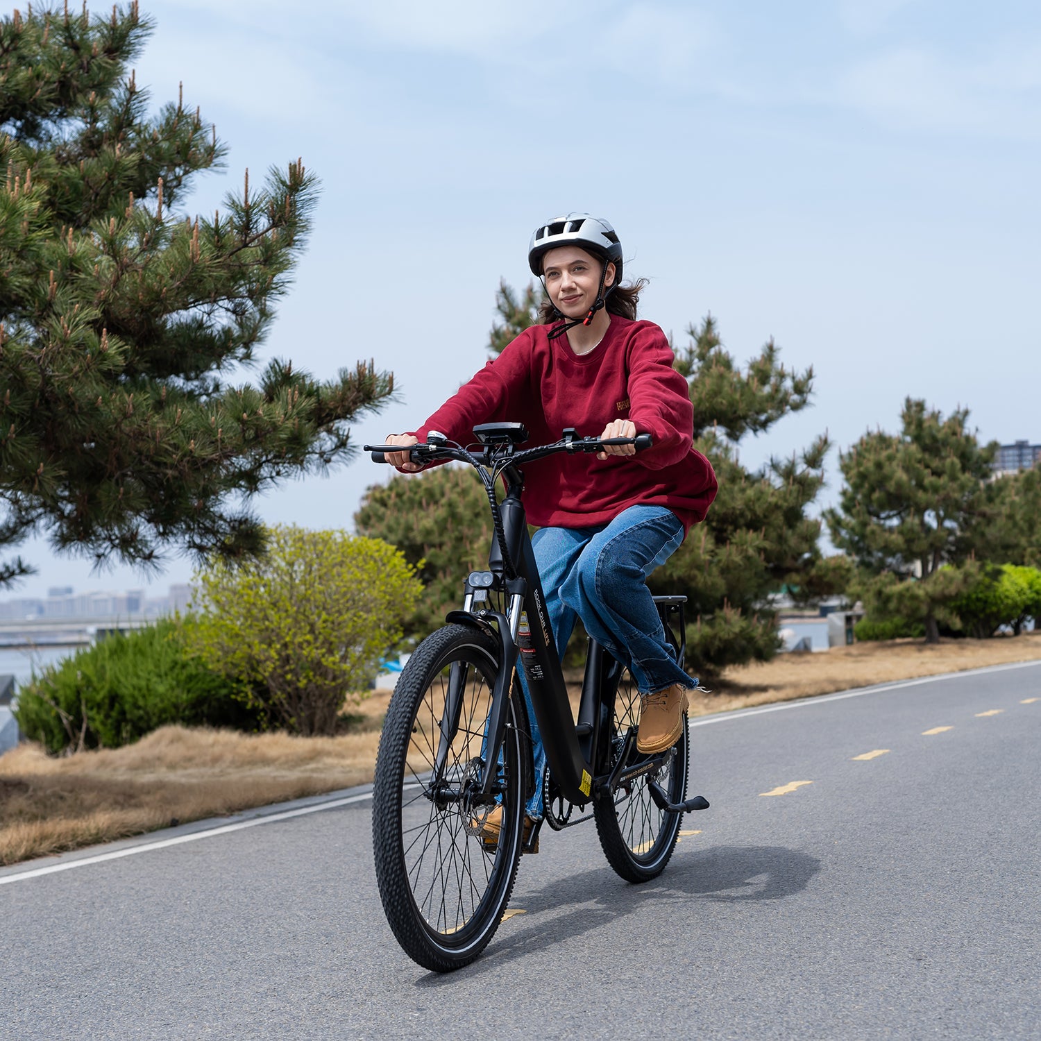 RCB G6 elektrische fiets voor volwassenen (RCB APP)&NFC E-BIKE)