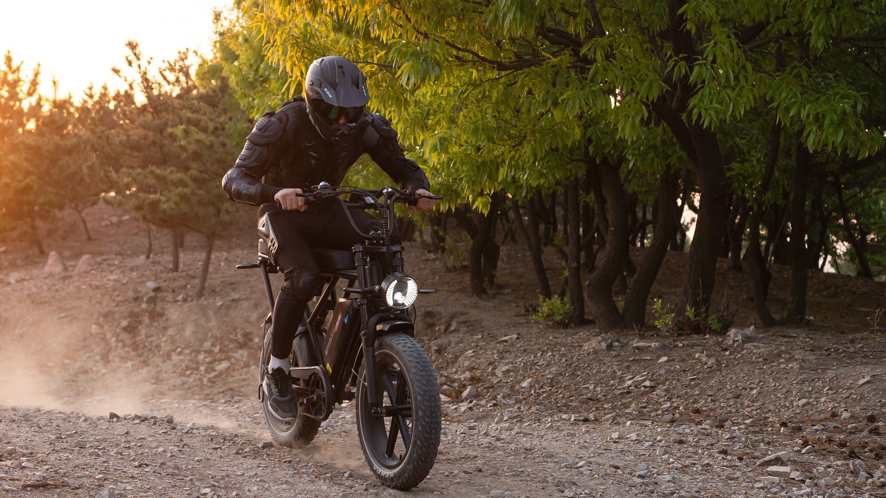 RCB Electric Bike for Adults