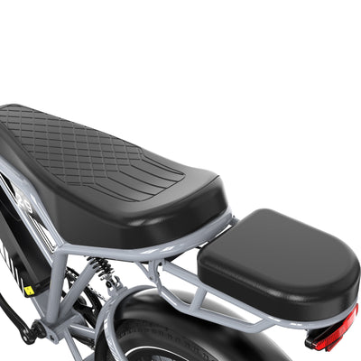 Bicicleta eléctrica RCB RK29 para adultos (RCB E BIKE)