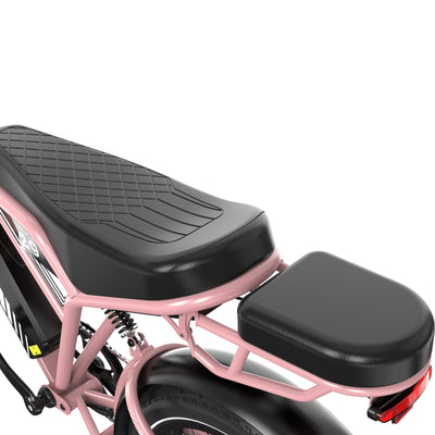 Bicicleta eléctrica RCB RK29 para adultos (RCB E BIKE)