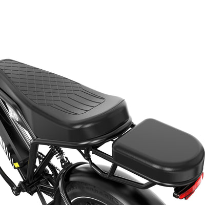 Bicicleta eléctrica RCB RK29 para adultos (RCB E BIKE)