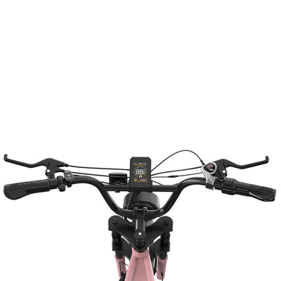 Bicicleta eléctrica RCB RK29 para adultos (RCB E BIKE)