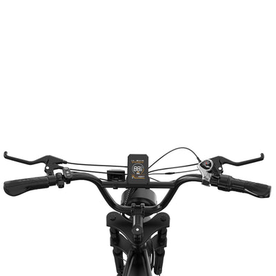 Bicicleta eléctrica RCB RK29 para adultos (RCB E BIKE)