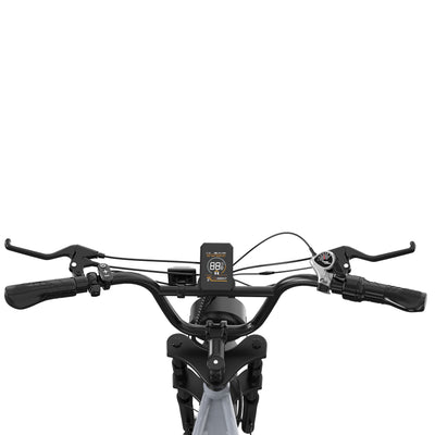 Bicicleta eléctrica RCB RK29 para adultos (RCB E BIKE)