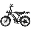 RCB RK29 elektrische fiets voor volwassenen (RCB E BIKE)