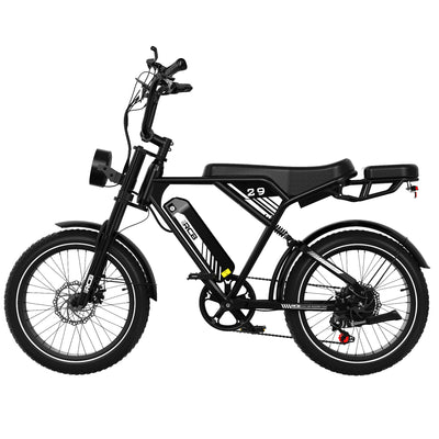 Bicicleta eléctrica RCB RK29 para adultos (RCB E BIKE)