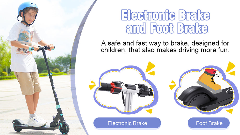 Dual Brake System