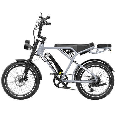 Bicicleta eléctrica RCB RK29 para adultos (RCB E BIKE)
