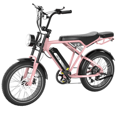 Bicicleta eléctrica RCB RK29 para adultos (RCB E BIKE)