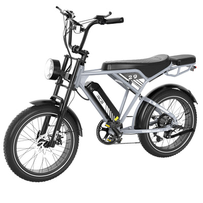 Bicicleta eléctrica RCB RK29 para adultos (RCB E BIKE)