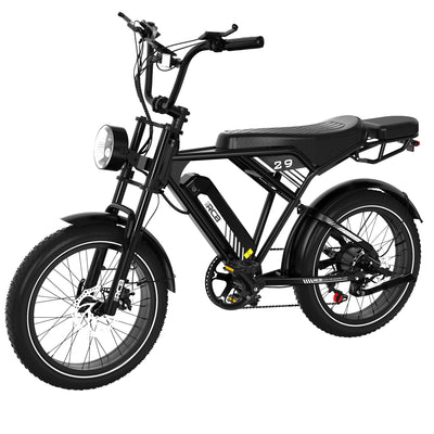 Bicicleta eléctrica RCB RK29 para adultos (RCB E BIKE)