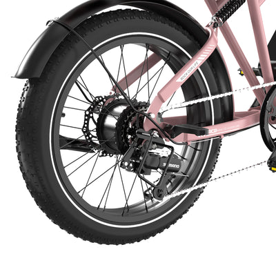 Bicicleta eléctrica RCB RK29 para adultos (RCB E BIKE)