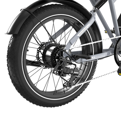 Bicicleta eléctrica RCB RK29 para adultos (RCB E BIKE)
