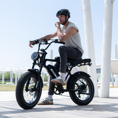Bicicleta eléctrica RCB RK29 para adultos (RCB E BIKE)