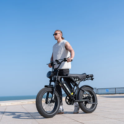 Bicicleta eléctrica RCB RK29 para adultos (RCB E BIKE)