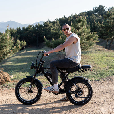 Bicicleta eléctrica RCB RK29 para adultos (RCB E BIKE)