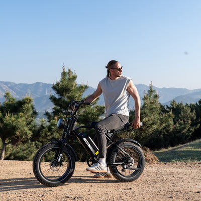 Bicicleta eléctrica RCB RK29 para adultos (RCB E BIKE)