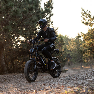 Bicicleta eléctrica RCB RK29 para adultos (RCB E BIKE)