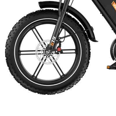 Bicicletta elettrica RCB G19 per adulti (48V 22.5Ah)