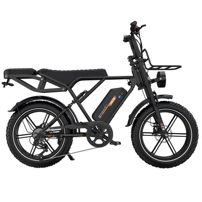 Bicicletta elettrica RCB G19 per adulti (48V 22.5Ah)