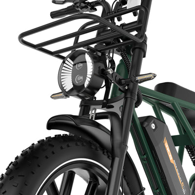 Bicicletta elettrica RCB G19 per adulti (48V 22.5Ah)