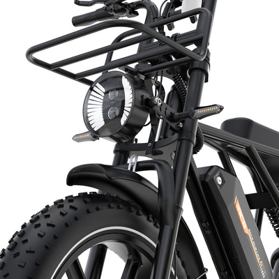Bicicletta elettrica RCB G19 per adulti (48V 22.5Ah)