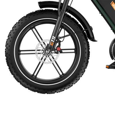 Bicicletta elettrica RCB G19 per adulti (48V 22.5Ah)