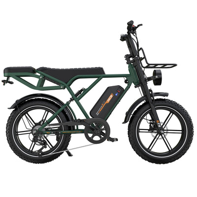 Bicicletta elettrica RCB G19 per adulti (48V 22.5Ah)