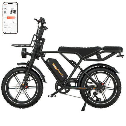 RCB G19 Elektrofahrrad für Erwachsene (48V 22,5Ah)