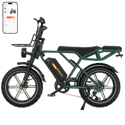 Bicicletta elettrica RCB G19 per adulti (48V 22.5Ah)