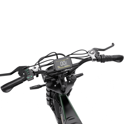 Mini bicicletă electrică RCB G19 pentru adulți (aplicație RCB)&NFC E BIKE)