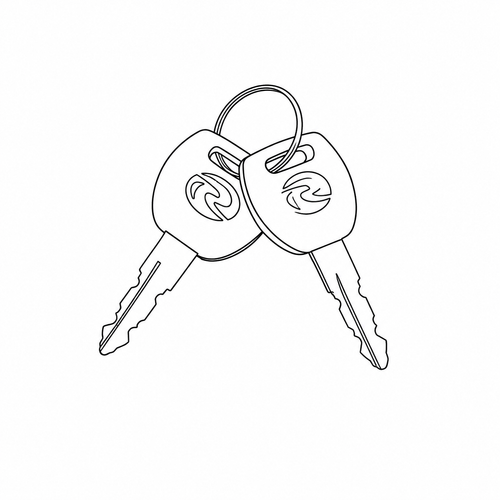 Bicycle key x 2