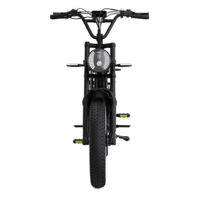 Bicicleta eléctrica RCB G19 PRO para adultos ((RCB APP&NBICICLETA ELÉCTRICA FC))