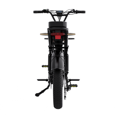 Bicicleta eléctrica RCB G19 PRO para adultos ((RCB APP&NBICICLETA ELÉCTRICA FC))