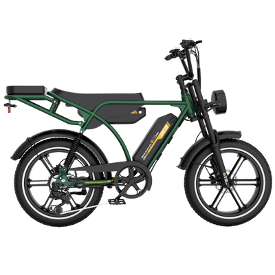 Bicicleta eléctrica RCB G19 PRO para adultos ((RCB APP&NBICICLETA ELÉCTRICA FC))