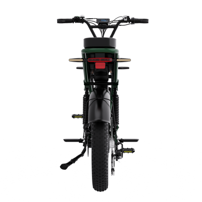 Bicicleta eléctrica RCB G19 PRO para adultos ((RCB APP&NBICICLETA ELÉCTRICA FC))