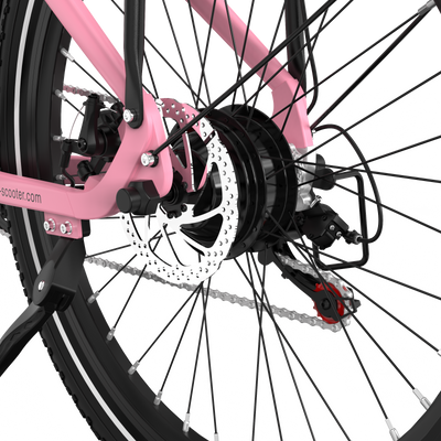 Vélo électrique RCB G6 pour adultes (application RCB)&NVÉLO ÉLECTRIQUE FC)