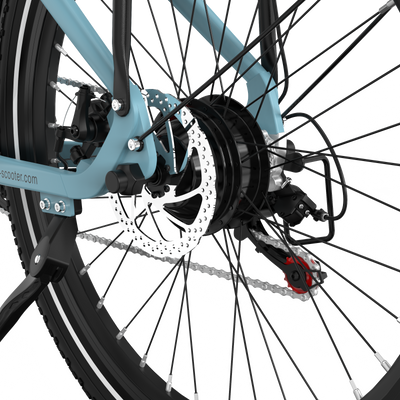 Vélo électrique RCB G6 pour adultes (application RCB)&NVÉLO ÉLECTRIQUE FC)
