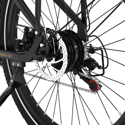 Vélo électrique RCB G6 pour adultes (application RCB)&NVÉLO ÉLECTRIQUE FC)