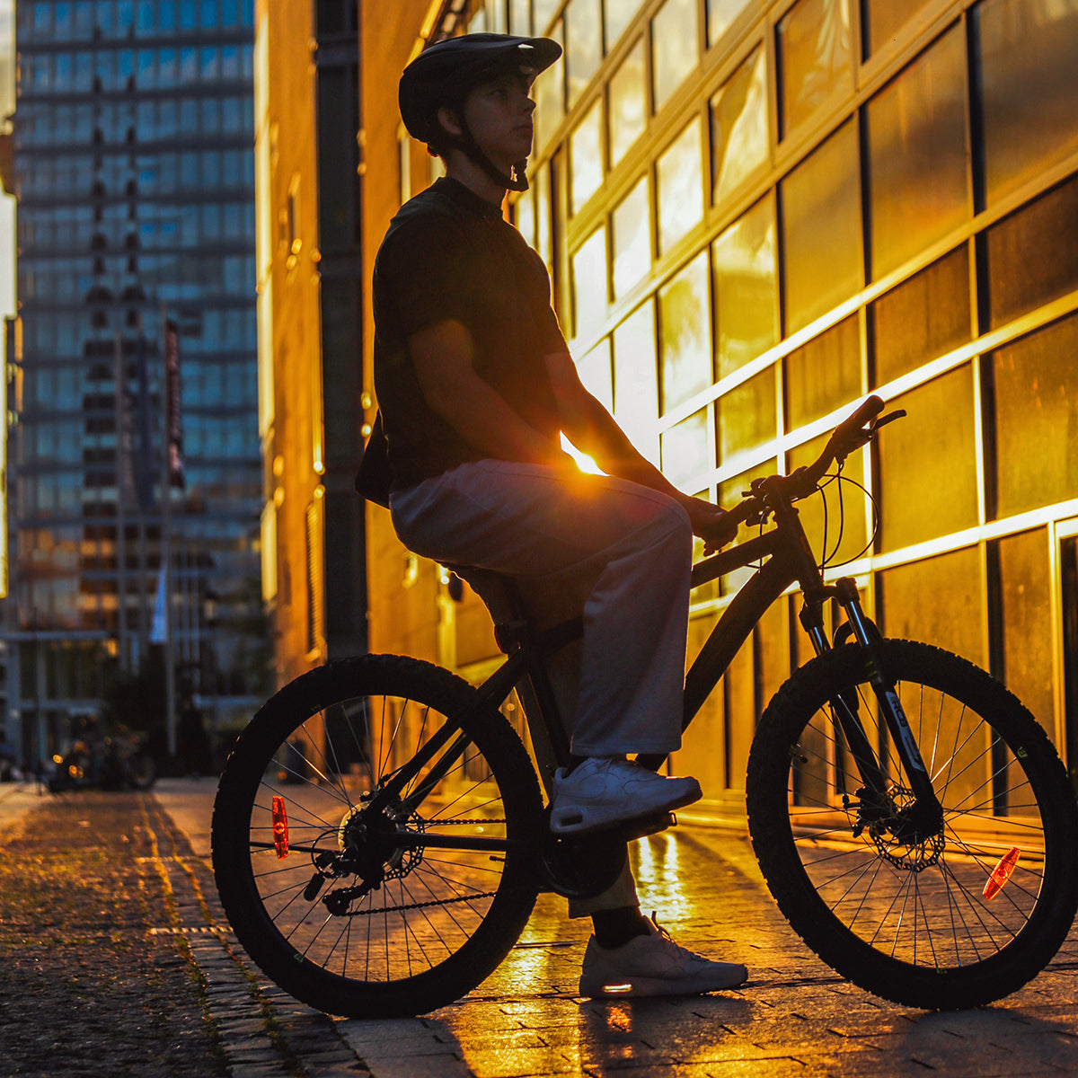 RCB GK2 Advanced Mountainbike (kein Strom)