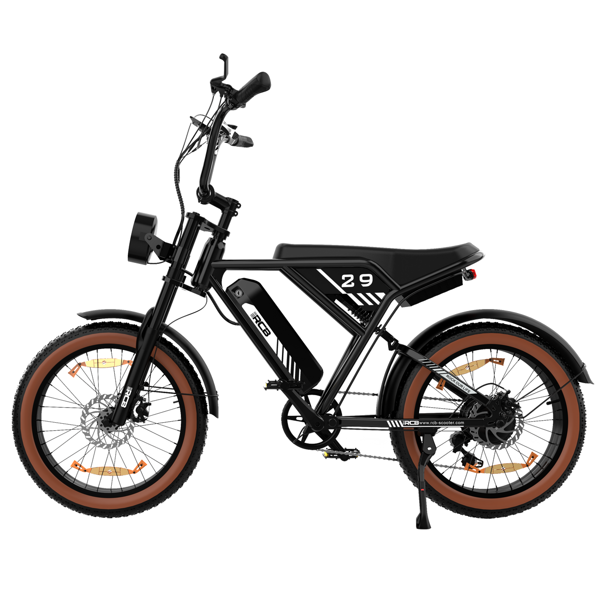 RCB RK29 Electric Bike for Adults(RCB E BIKE)