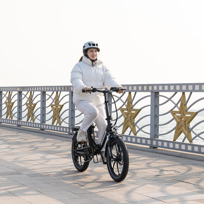 Bicicleta eléctrica plegable RCB RK6 Fat Tire (RCB APP E BIKE)